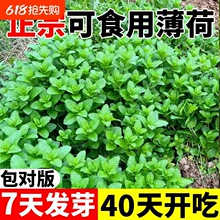 ��ʳ�ñ��ɷN�����m�㙎����؈�����ļ����N�҃��̨���Ի��N����