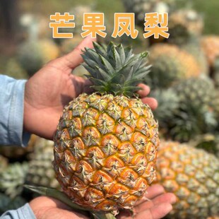 ����S���f������â���P�殔�����r�P��ˮ���F���F�l����4.5���b