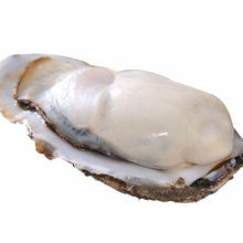 5����]��ɽ����r��ĵϠ��ʳ���r�������r���a����ˮ�aƷ��Ϡ��