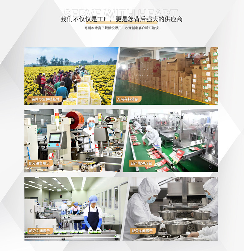 同心堂首页PC_13_副本