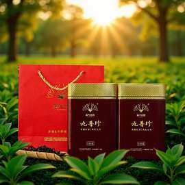 英九庄园英德红茶广东特产英红九号花果香红茶罐装新茶叶批发