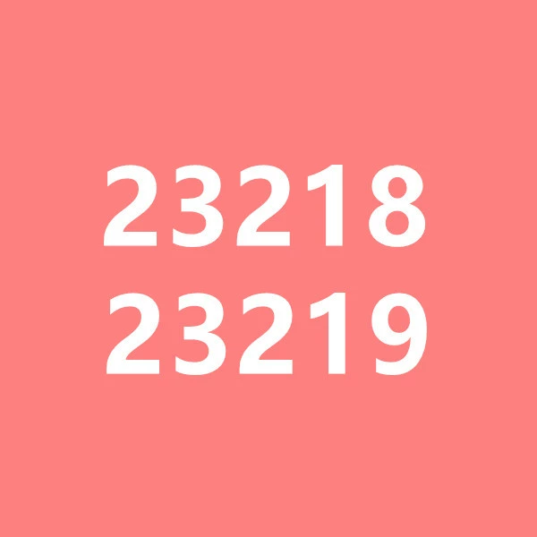 23218 23219