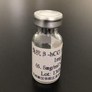 �ÿ�&beta;-HCGѪ��-0.1ML