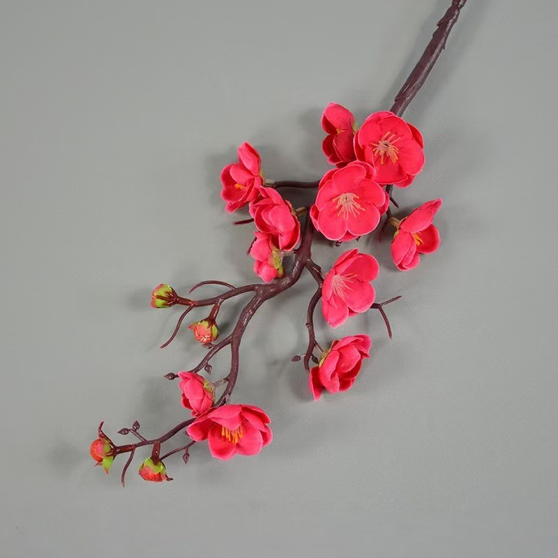 중간 가지 매화 장미 레드