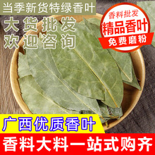 香叶散装干香叶整片批发香叶香料调料大全香叶大料月桂叶香叶粉