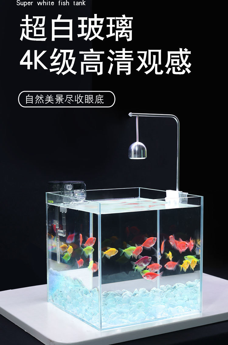 3821877b-f39e-4737-b5ca-8594caf4d074.jpe