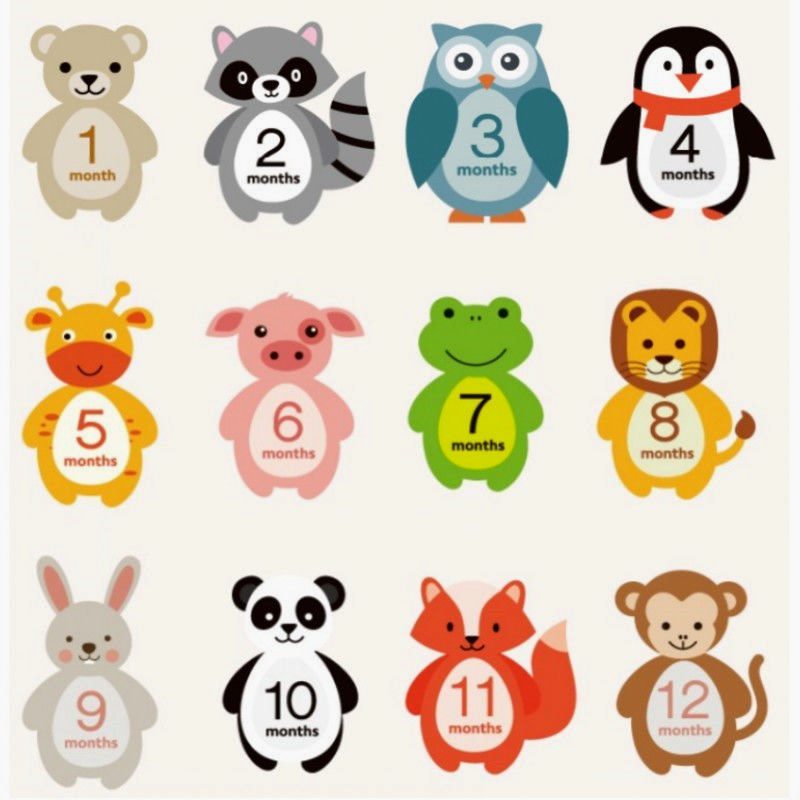 임산부 사진 소품 임신 배 스티커 배 스티커 임신 배꼽 스티커 사진 스튜디오 사진 소품