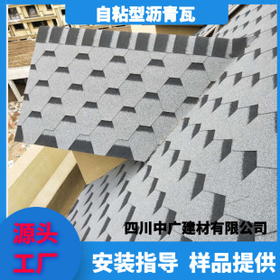 �ɶ������ߏS�Ҟr�����p䓄e��ľ����Ƭ���w�͚���