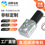 大扭矩自锁蜗轮蜗杆马达美容按摩仪微型减速直流电机汽车风扇电机