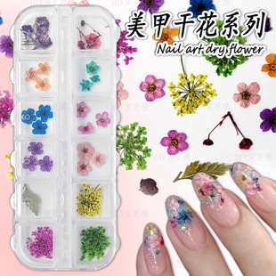 ��ϵ������Ȼ���w�ɻ���ɫ������ꖻ�������DIYָ�׸ɻ��Ʒ12ɫ
