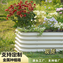 ���⻨�������\��Nֲ�仨�@�Nֲ�����@¶�I���ٲ˴����ٴ�43cm