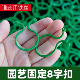 园艺8字扣黄瓜夹子扶秧夹圣女果吊秧夹西红柿落蔓夹落秧扶蔓固定