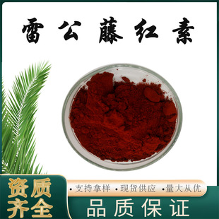 �׹��ټt�� 98% �������� Celastrol 34157-83-0�F؛���l��Ʒ���C