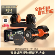 HEAD���¿��{�������ʿ�������ô�����������b����呟�Ӗ������