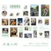 Dian Meng puppy-50 sheets