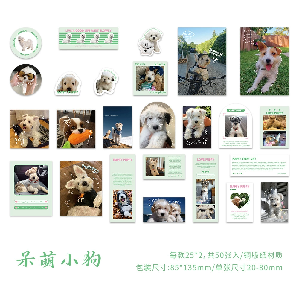 Крупная новая сумка-раскраска Xinqi Wang Meow милый сезонный пакет для питомца, водонепроницаемая декоративная ручная книга DIY водяной стакан водостойкие советы
