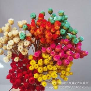���옷���������ɻ����Ҿ��b�diy�廨�Ĕz����С����