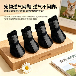 �羳���N���̖����WЬ�ļ�������K͸�⹷��؈��Ь���ⲻ���_��