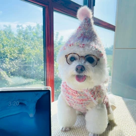 狗狗服装;猫猫服饰