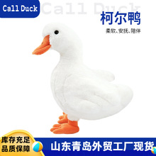 �羳��Ʒ���� �����ë�q��߿ɐ��J���u����С�S����ż�F؛���l