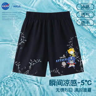NASAQ�����������b2025���ͯ���z��ѝ�r�����e�\��ѝ��