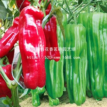 ���콷�����N����ɫС�⽷��ʽ������ļ��^�p�۹��߲�С�׽�����