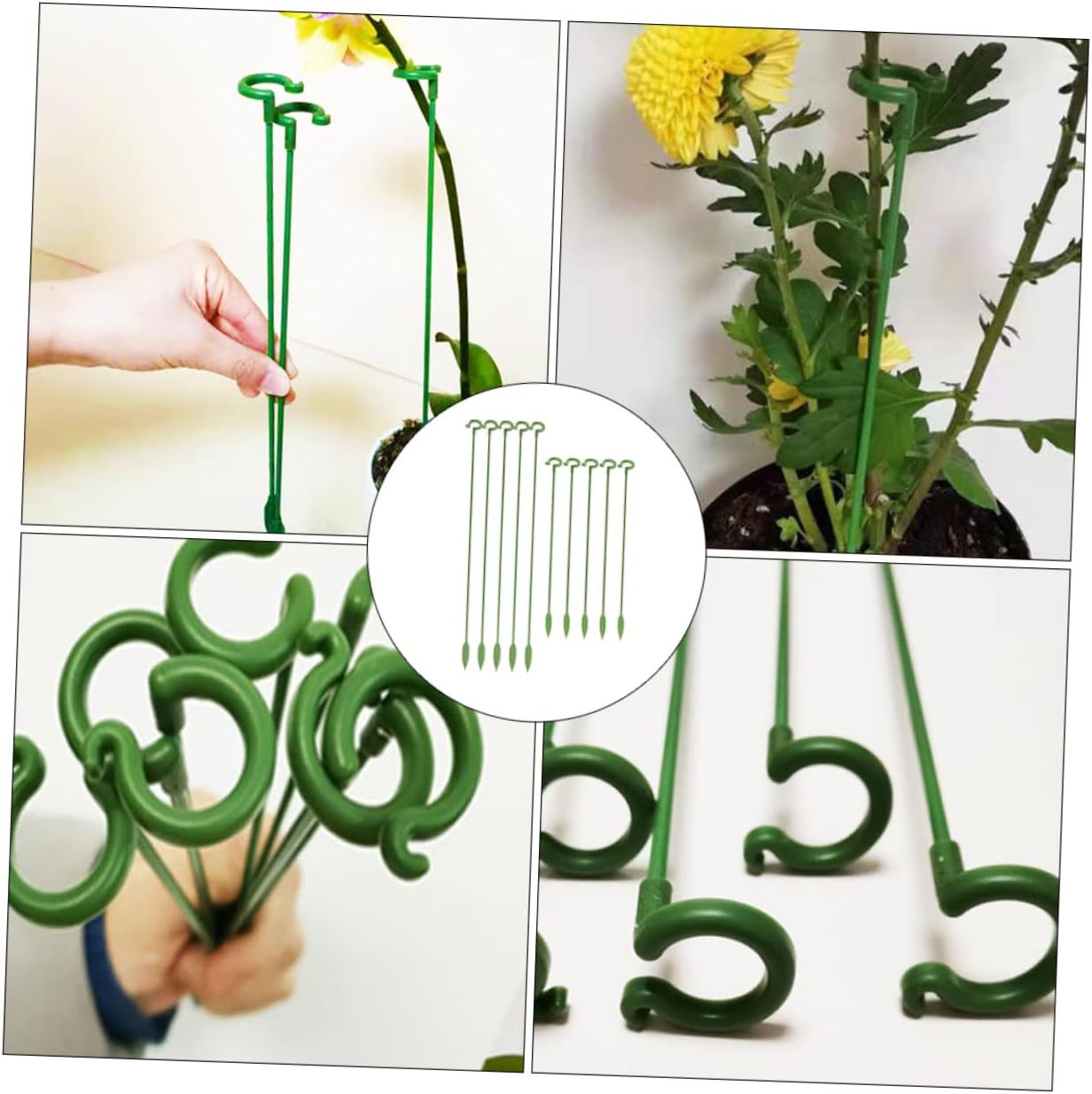 Orchid Support Rack in Use