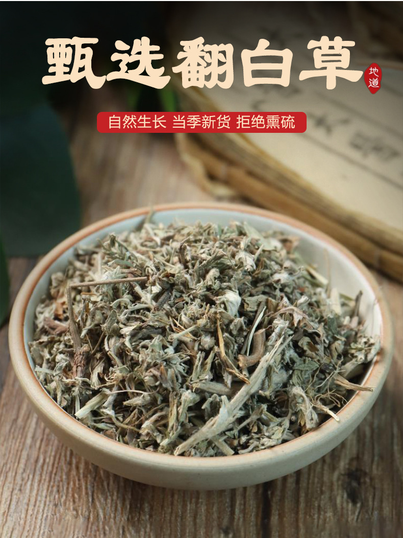Dried Potentilla Root Fan Bai Cao Whole Herb Naturally Sun Dried for Herbal Tea and Decoction 500g key features