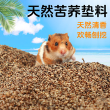 仓鼠金丝熊主粮伴侣控制葫芦巴亚麻籽玉米须降糖带苦荞麦血糖保健