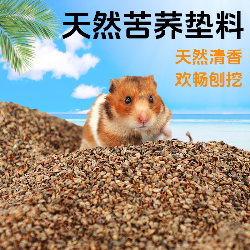 仓鼠金丝熊主粮伴侣控制葫芦巴亚麻籽玉米须降糖带苦荞麦血糖保健