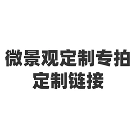 微景观;微景观瓶;植物工艺品