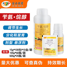־�\2%�а�&middot;�鴼�а���������ʮ�鴼���M�ֻ��l��ֲ�����L�{����