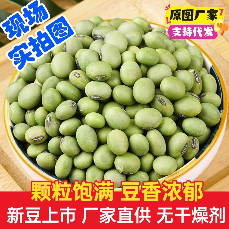 批发双青豆 大青豆 农家自种绿皮豆 青仁大豆黑脐大青豆|undefined