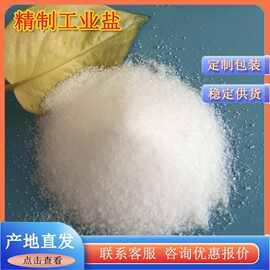 99国标精制细盐 现货批发山东工业级精制盐  精制工业盐生产厂家