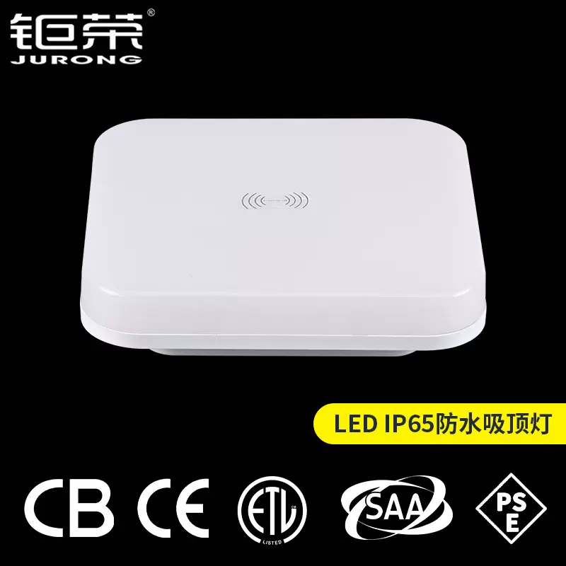 LEDIP65方形防水吸顶灯户外屋顶窗台庭院亮化灯走廊过道照明灯