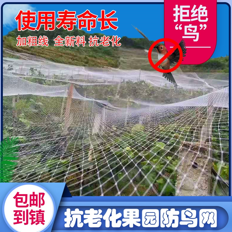 Сельскохозяйственная антивозрастная сеть для птиц виноградная вишня фруктовый сад прочные овощные поля рисовые пруды для разведения нейлоновых нитей