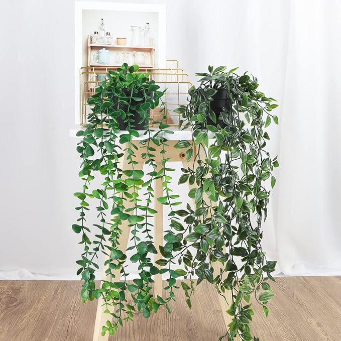 Amazon シミュレーション鉢植え緑の植物人工ユーカリ吊り植物組み合わせ家の屋内装飾卸売|undefined
