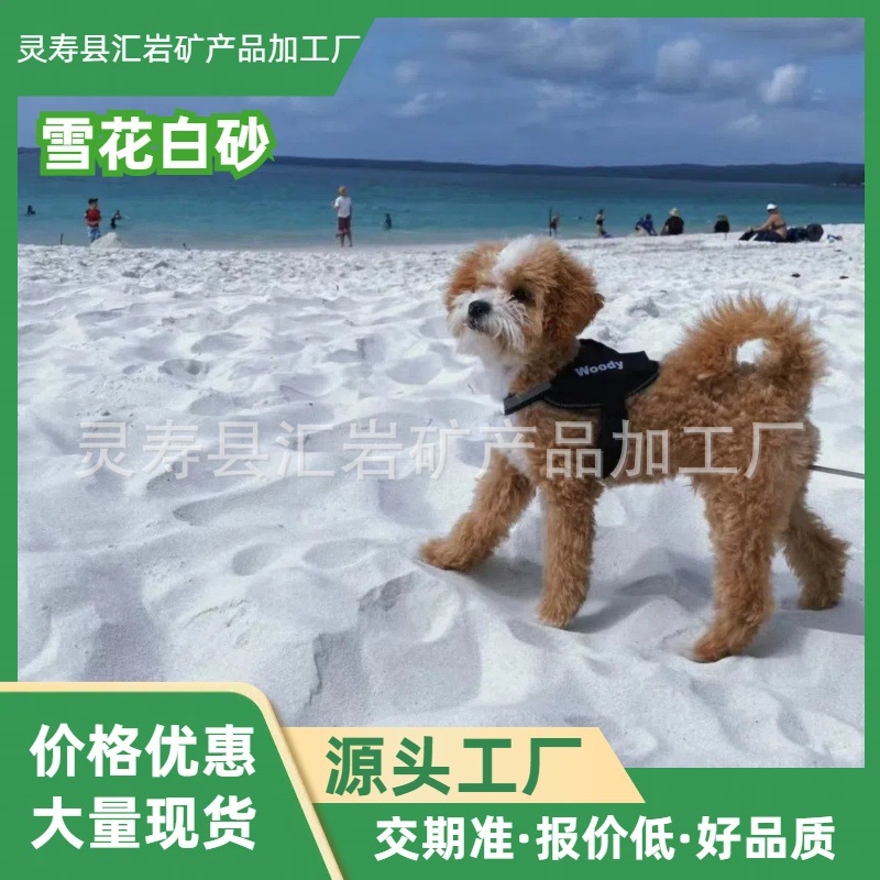 厂家供应雪花白砂子人造沙滩用白沙子砂填充垃圾桶烟灰缸用矿物