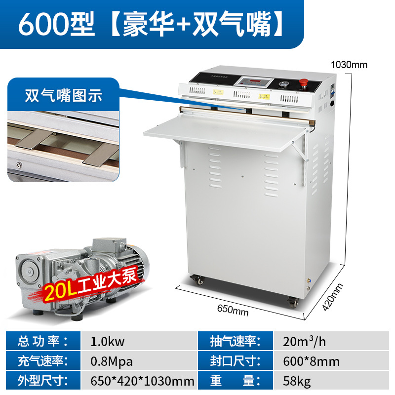 600 (painted version) double valve