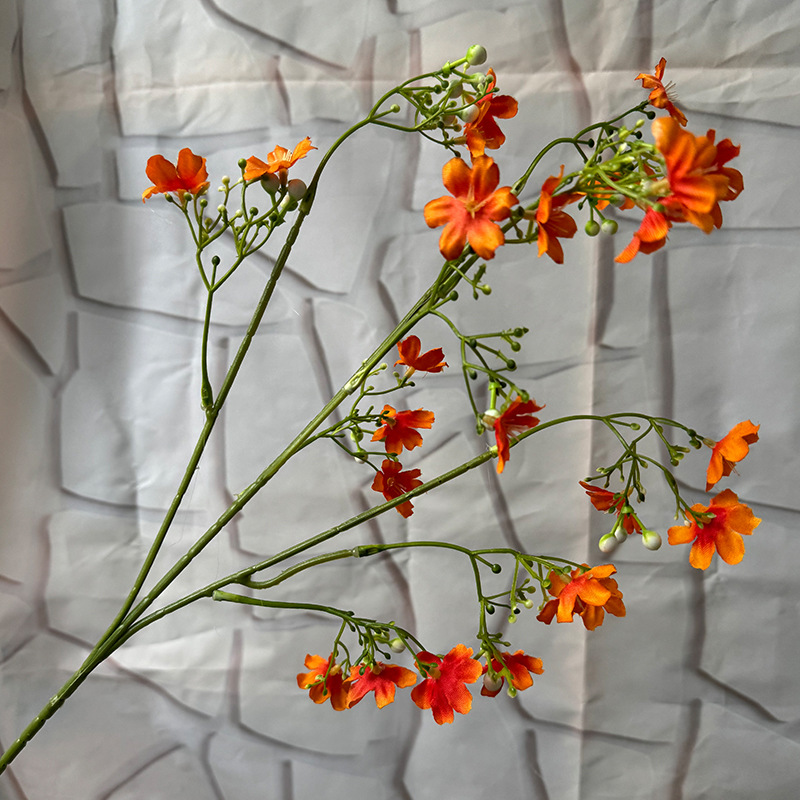 Dixiang 작은 꽃-오렌지