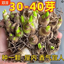 �ذ���ˮ������N��󻨝���������҃Ȼ����ͺ�����ԾGֲ�����B