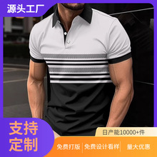 2026�¿�ŷ���羳��ʿ��������ƴɫpolo����ʿ�������¶�������