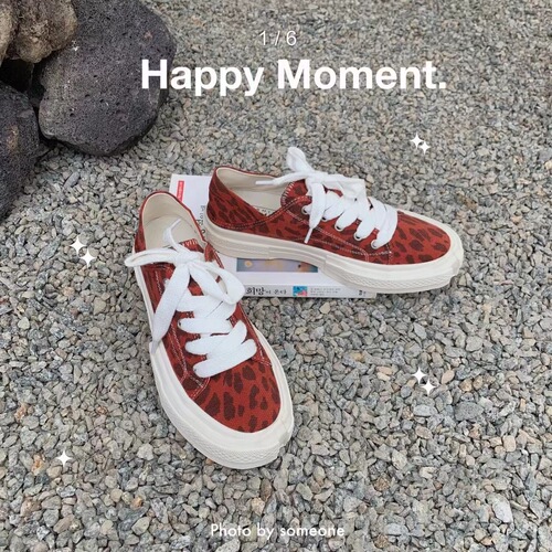 British-style Casual Canvas Shoes  Summer New Arrival Streetwear Leopard Print Dual-Use Flat Shoes Trendy Lace-Up Women's Single-layer Shoes for Instagram
