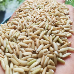 2024�¶���Ŵ���r�Ҵ��׮a�´������Ӿ������������������s�Z