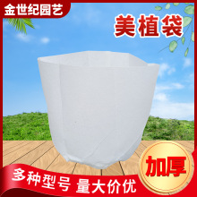 ��ɫ�o������������l��ֲ���Ӻ�������@ˇ�Nֲ���ɽ��������