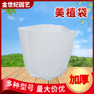 ��ɫ�o������������l��ֲ���Ӻ�������@ˇ�Nֲ���ɽ��������