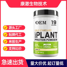 植物蛋白素食粉Vegetable protein powderr 跨境供应厂家批发O EM