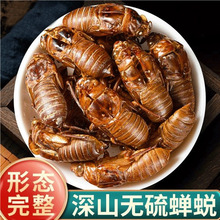 中药材金蝉蜕野生知了皮250g金蝉知了候蝉衣蝉壳虫蝉蜕的整壳