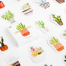 45ö�r �¿�ins�L���������֎������z�N��DIY�b���N