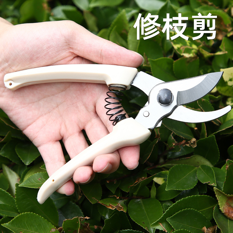 White-handled fruit tree pruning garden hedge trimmer, pruning shears, floral art pruning, branch pruning scissors